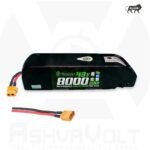 AshvaVolt® 48V 8Ah Lithium-Ion Battery Pack with Premium Hailong Case With BMS Protection